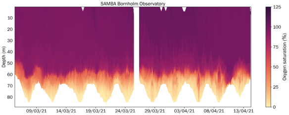 Oxygen saturation from a Rinko AROD-FT on a SeaExplorer glider in the Bornholm Basin